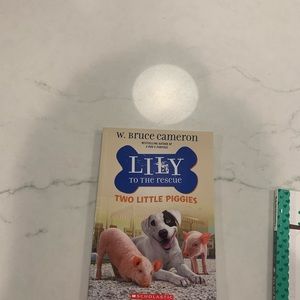 Lilly to the rescue two little pigs book